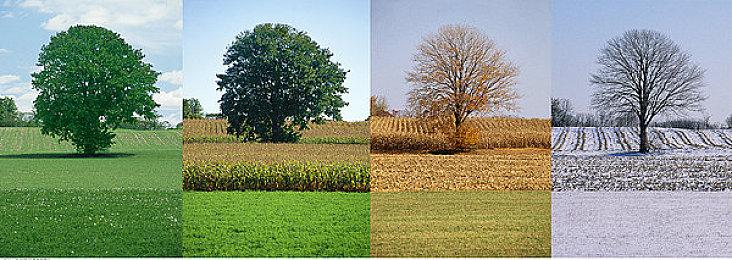 PS Plus港服7月会免公布 《古惑狼4》等共四款游戏